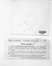 Image Associated With the Occurence